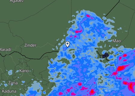 Niederschlagsprognose