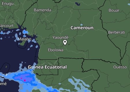 Niederschlagsprognose