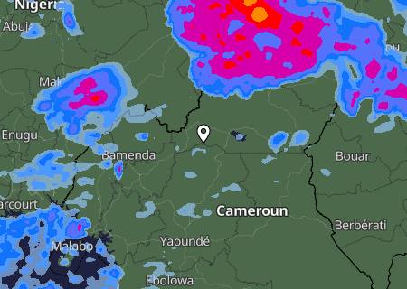 Niederschlagsprognose