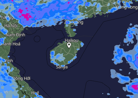 Niederschlagsprognose