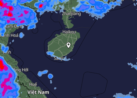 Niederschlagsprognose