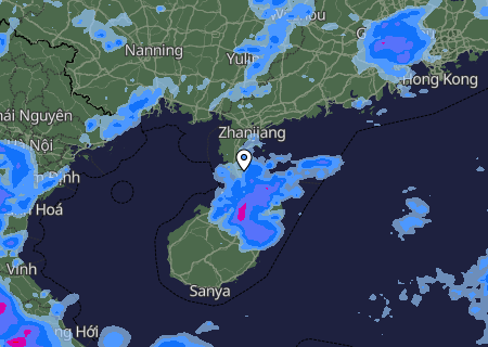 Niederschlagsprognose
