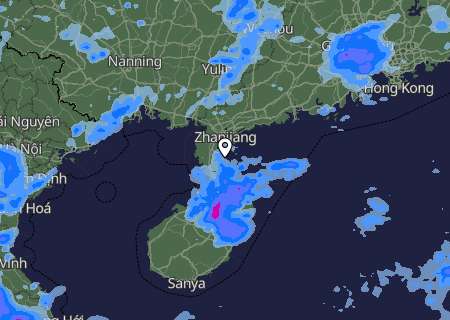 Niederschlagsprognose