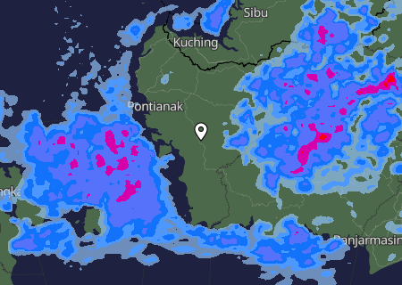 Niederschlagsprognose