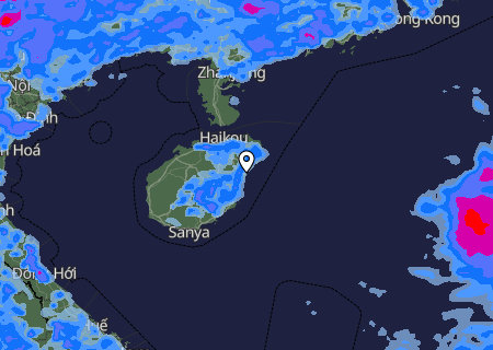 Niederschlagsprognose
