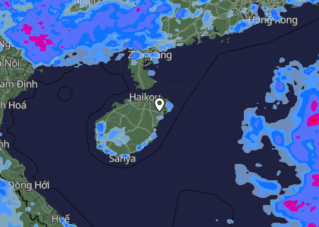 Niederschlagsprognose