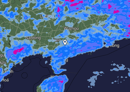 Niederschlagsprognose