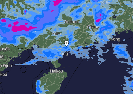 Niederschlagsprognose
