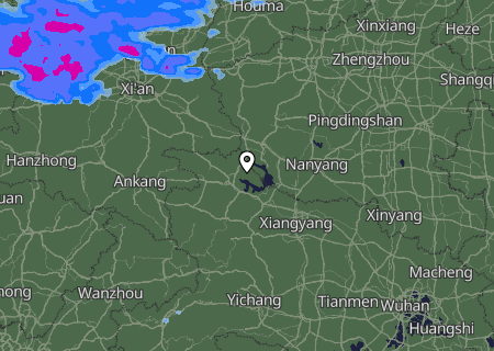 Niederschlagsprognose