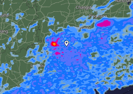 Niederschlagsprognose