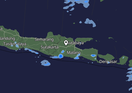 Niederschlagsprognose