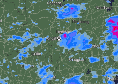 Niederschlagsprognose