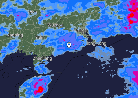 Niederschlagsprognose