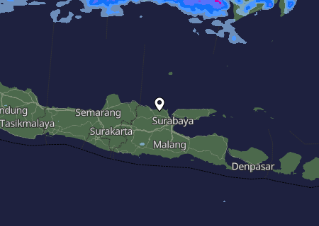 Niederschlagsprognose