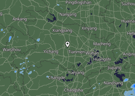 Niederschlagsprognose