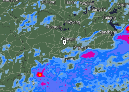 Niederschlagsprognose