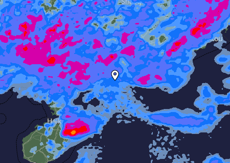 Niederschlagsprognose