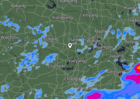 Niederschlagsprognose