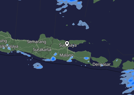 Niederschlagsprognose
