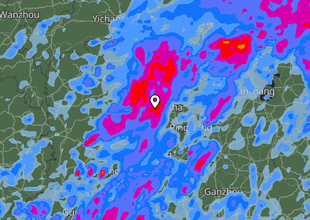 Niederschlagsprognose