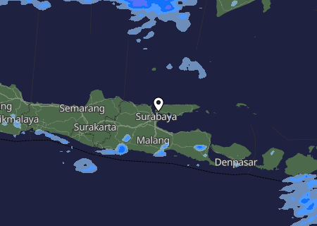Niederschlagsprognose