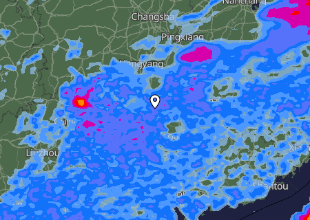 Niederschlagsprognose