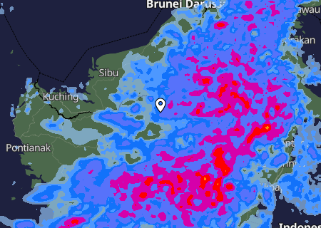 Niederschlagsprognose