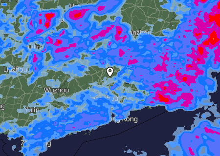 Niederschlagsprognose