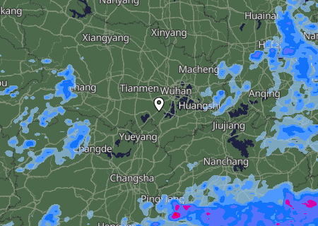 Niederschlagsprognose