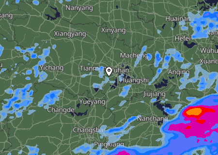 Niederschlagsprognose