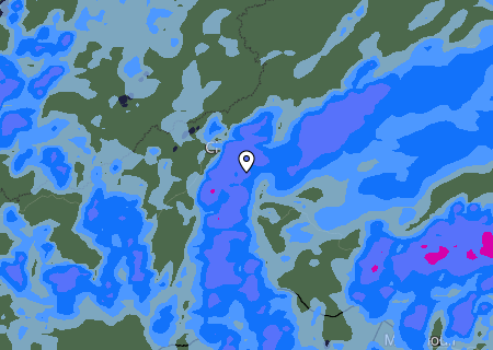 Niederschlagsprognose