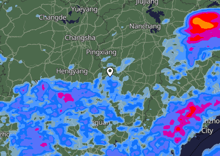 Niederschlagsprognose