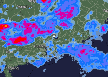 Niederschlagsprognose
