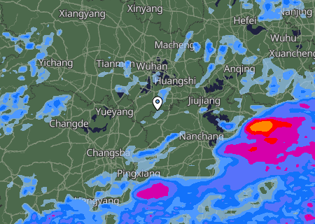 Niederschlagsprognose