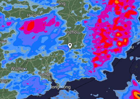 Niederschlagsprognose