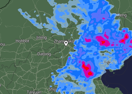 Niederschlagsprognose