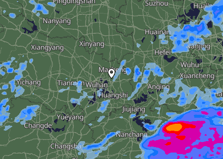 Niederschlagsprognose