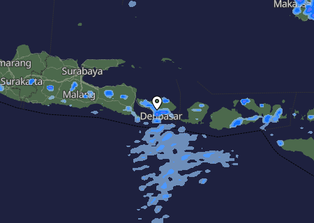 Niederschlagsprognose