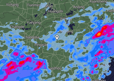 Niederschlagsprognose
