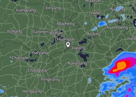 Niederschlagsprognose