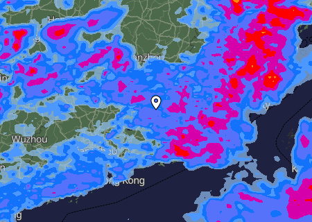 Niederschlagsprognose