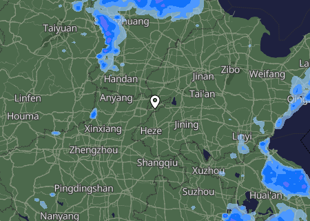 Niederschlagsprognose