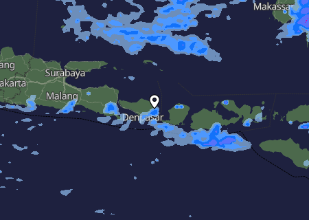 Niederschlagsprognose