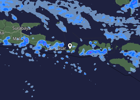 Niederschlagsprognose