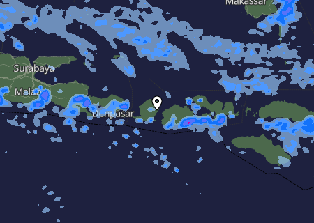 Niederschlagsprognose