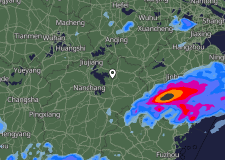 Niederschlagsprognose