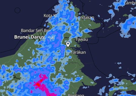Niederschlagsprognose
