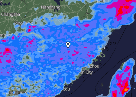 Niederschlagsprognose