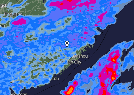 Niederschlagsprognose