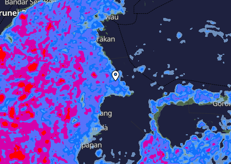 Niederschlagsprognose